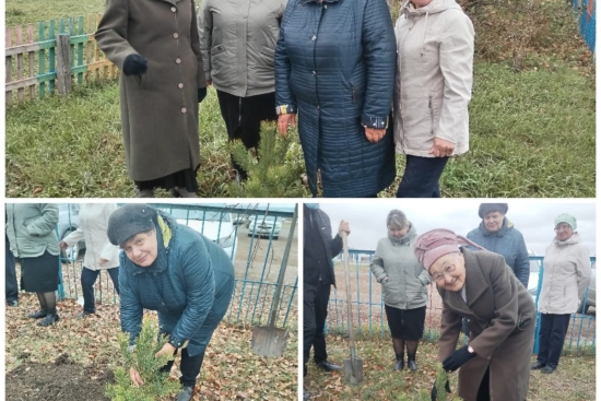 В рамках акции «Таза Қазақстан», в нашей школе прошёл челлендж «Аллея ветеранов-педагогов». В мероприятии приняли участие ветераны педагогического труда и учителя. В знак благодарности за их труд были высажены молодые саженцы сосны. Каждое дерево будет на